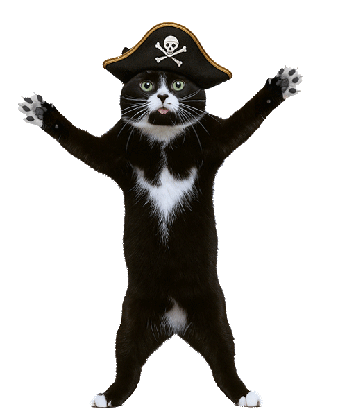 Pirate Cat Tongue