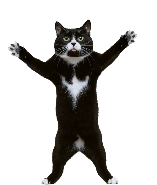 Dancing Cat Tongue