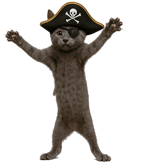 Pirate Cat